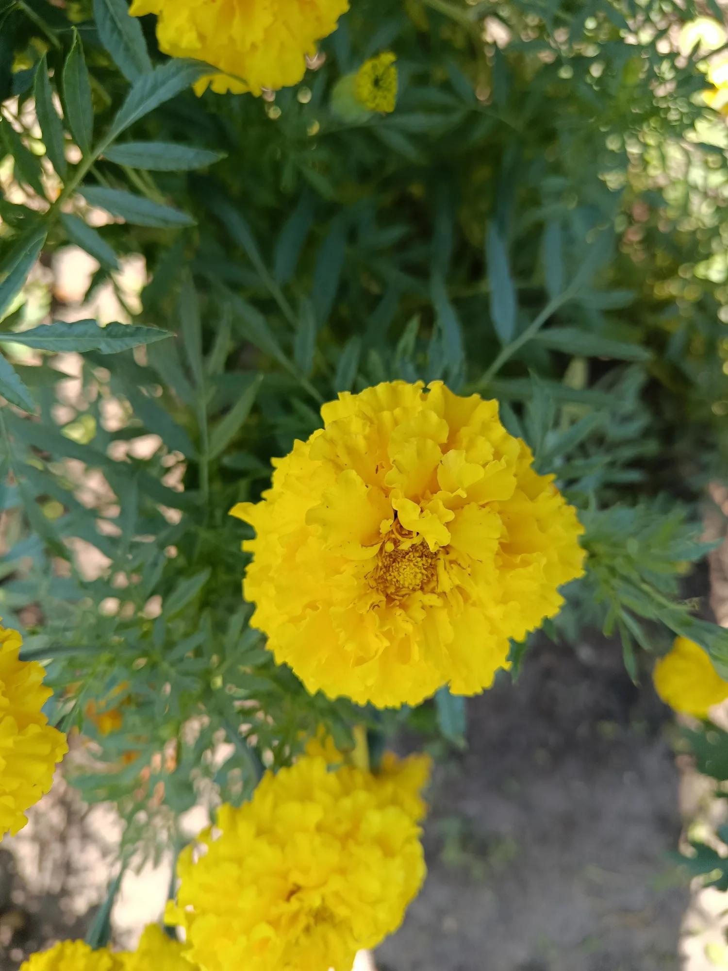Мініатюра 2