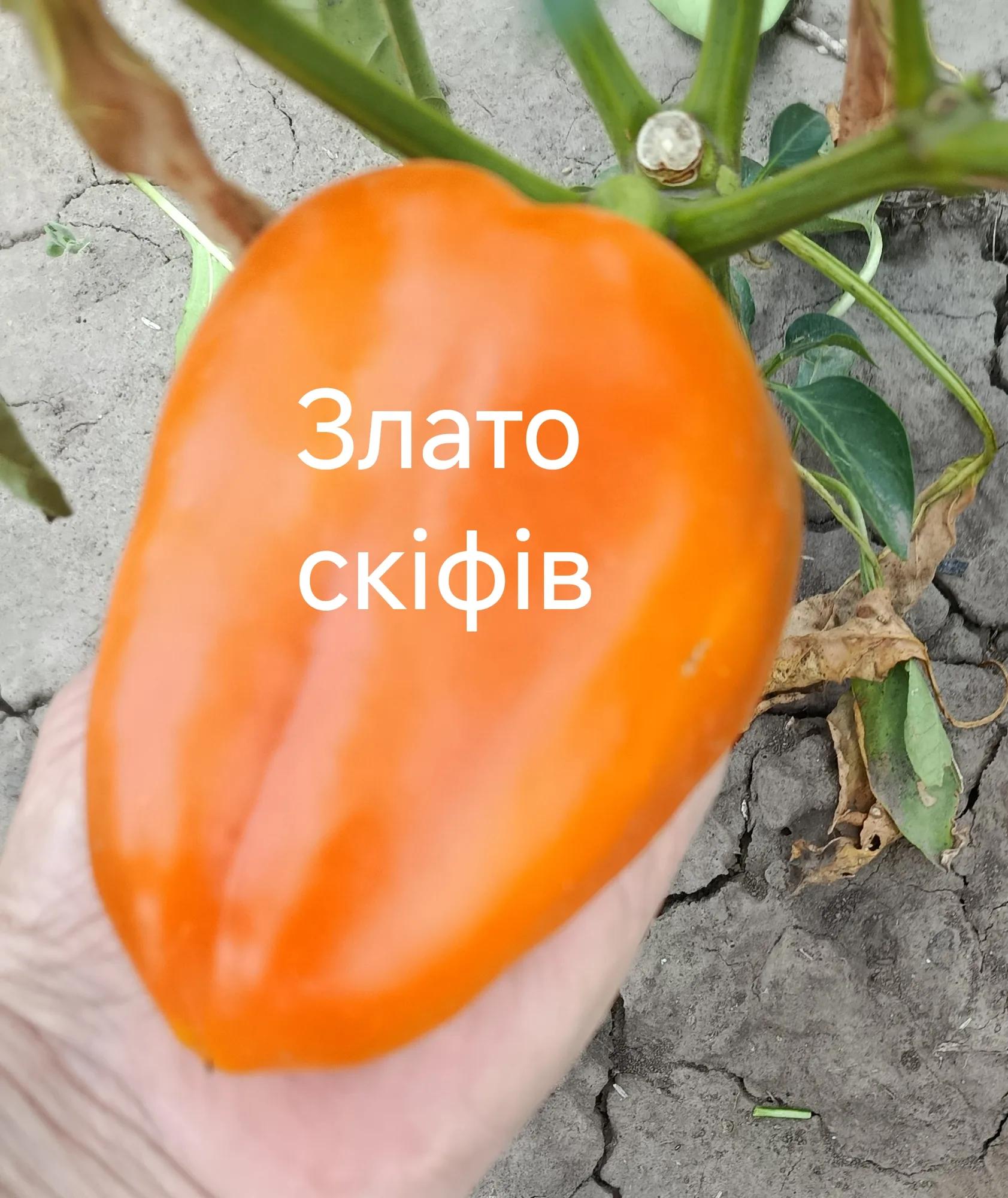 Мініатюра 2