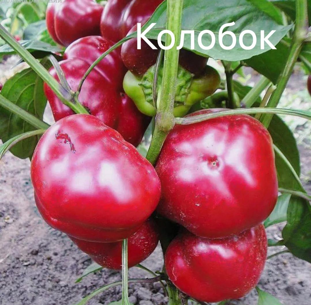 Колобок