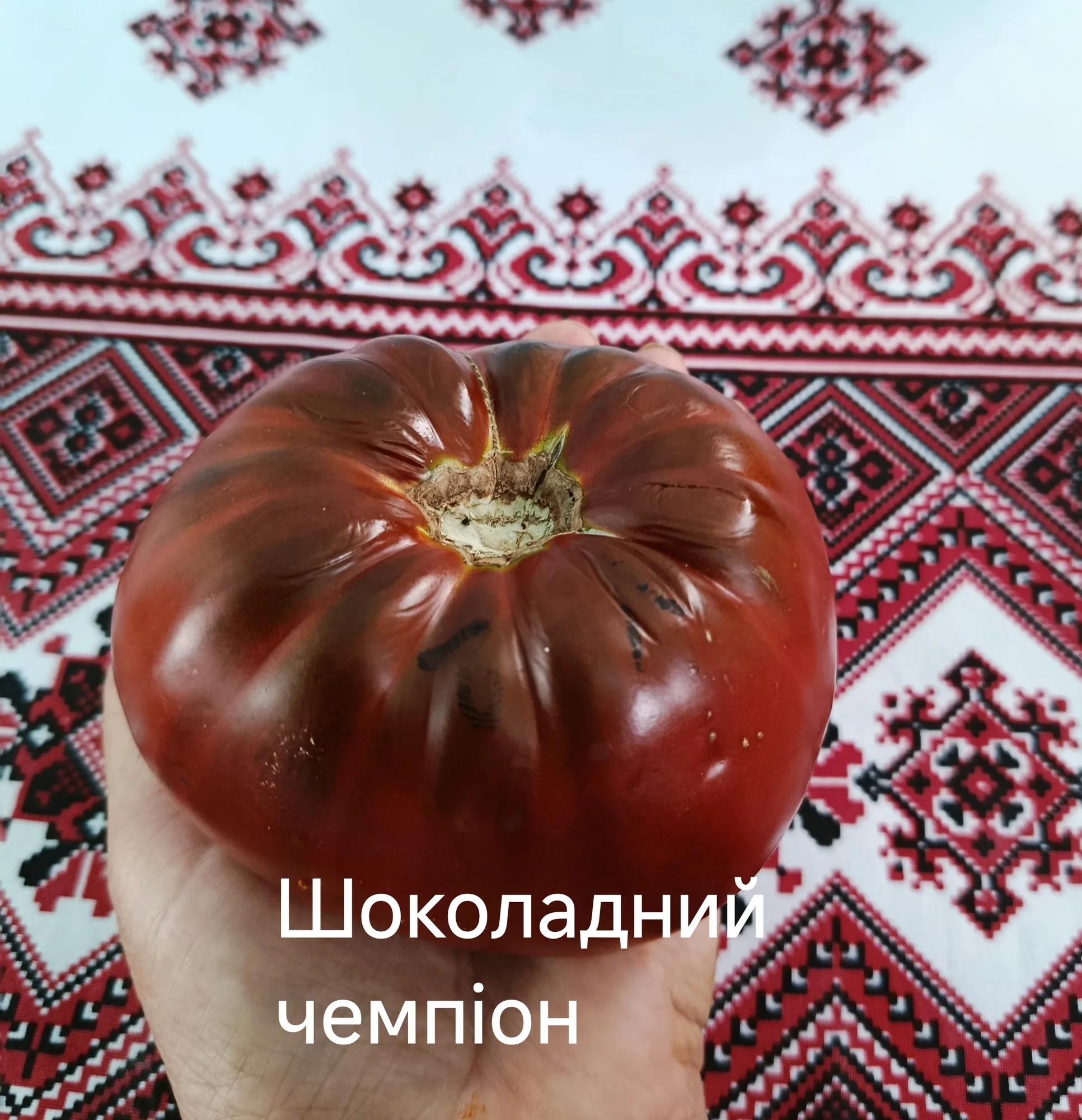 Мініатюра 3