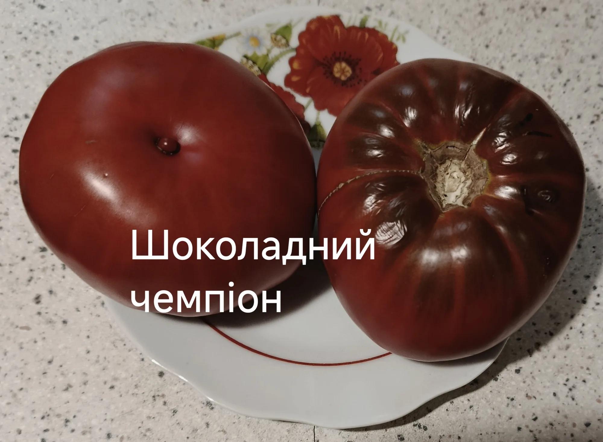 Мініатюра 5