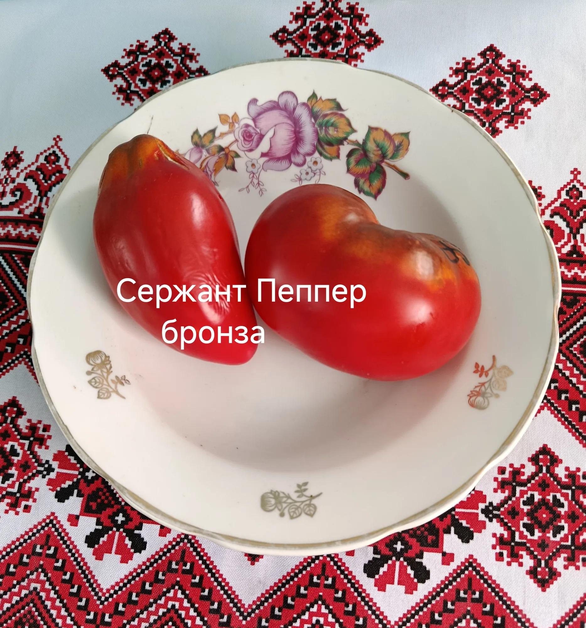Мініатюра 4