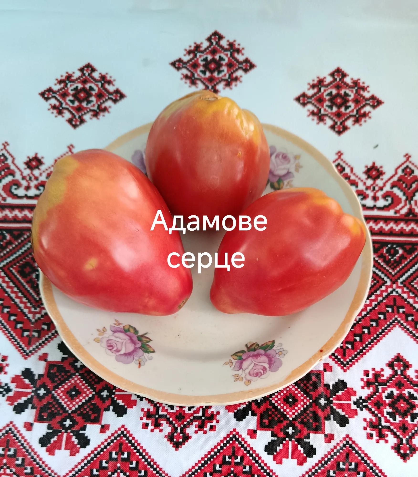 Адамове серце