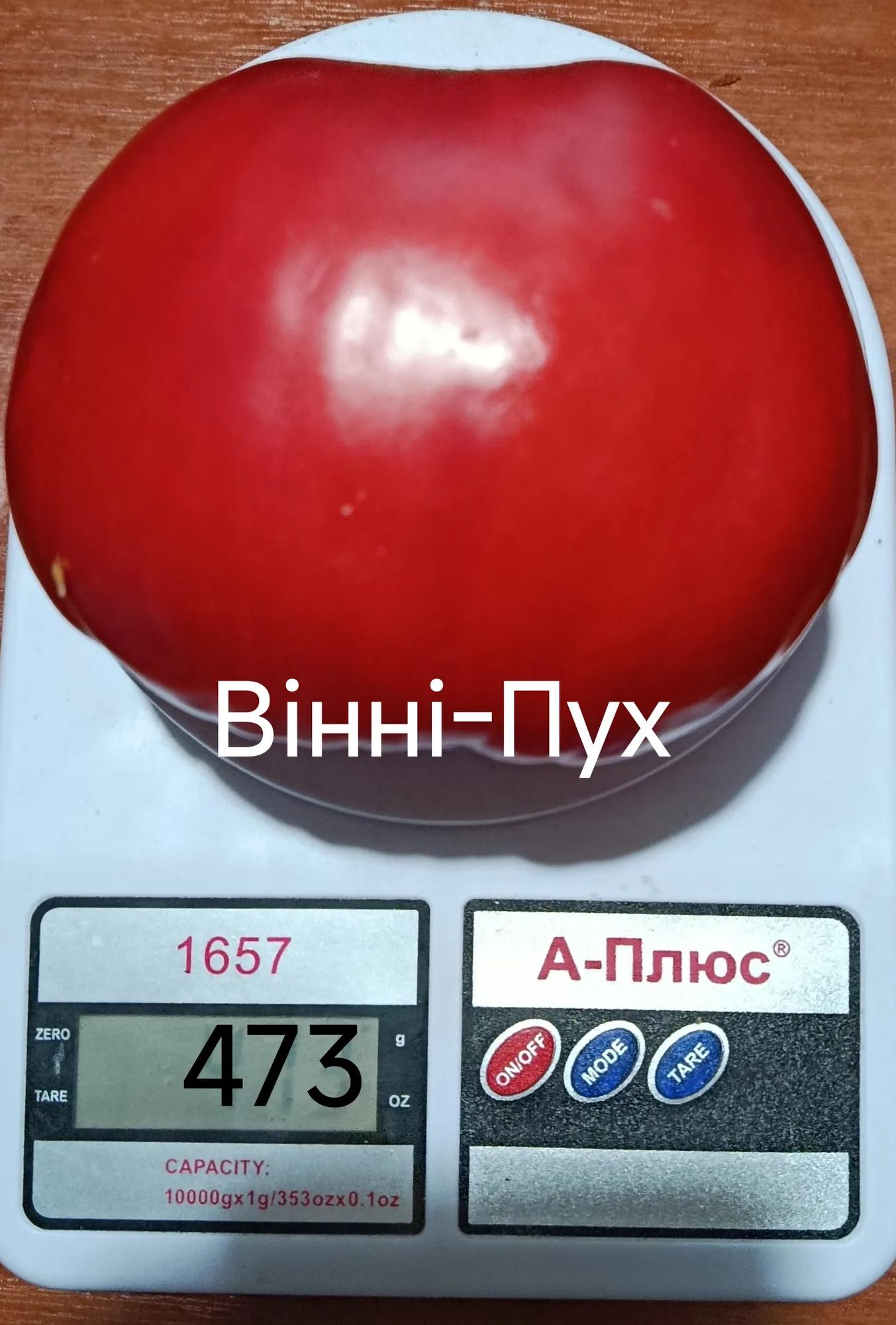 Мініатюра 5