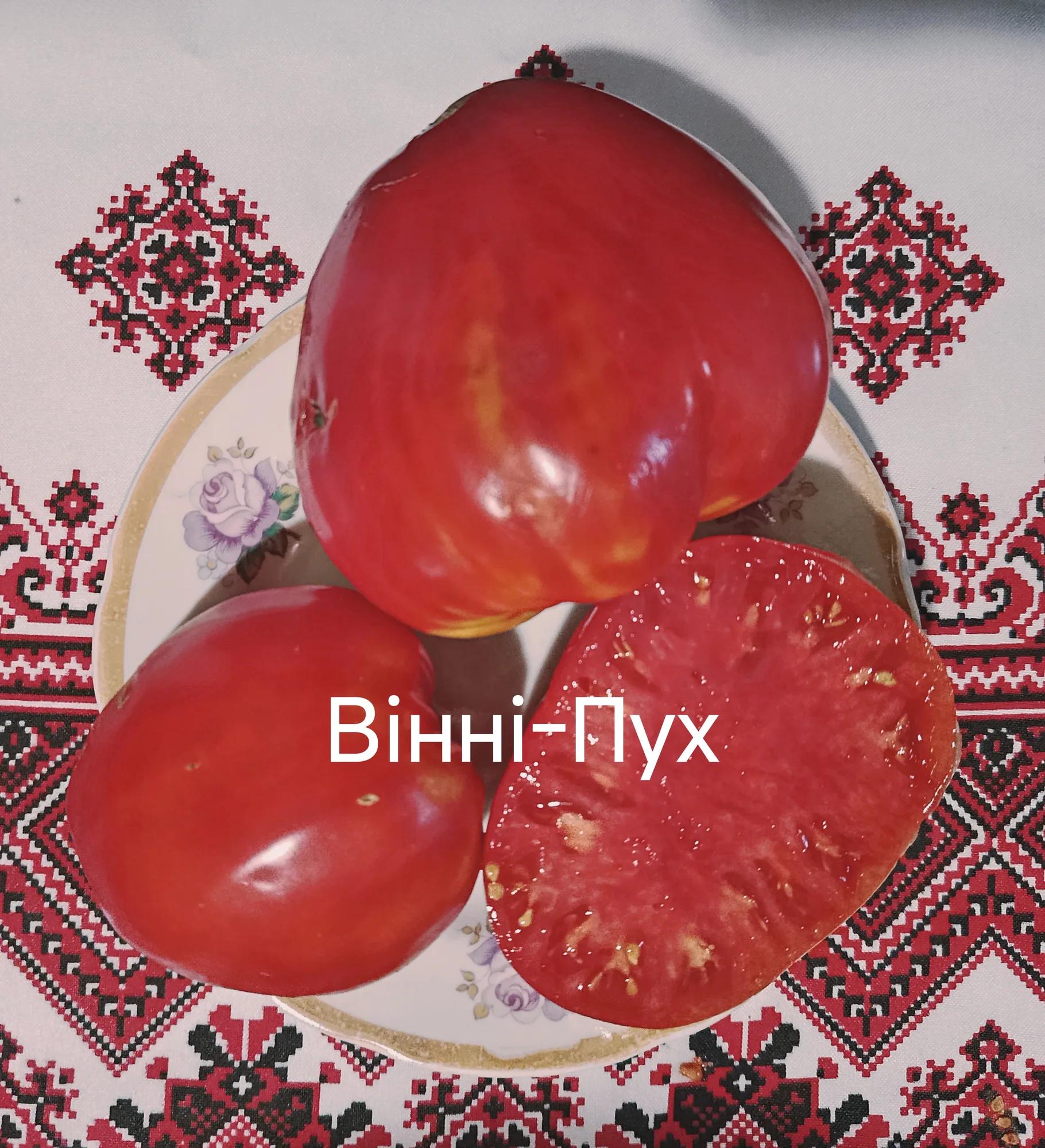 Мініатюра 6