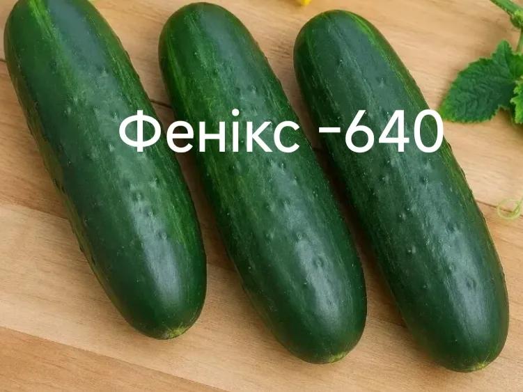 Фенікс 640