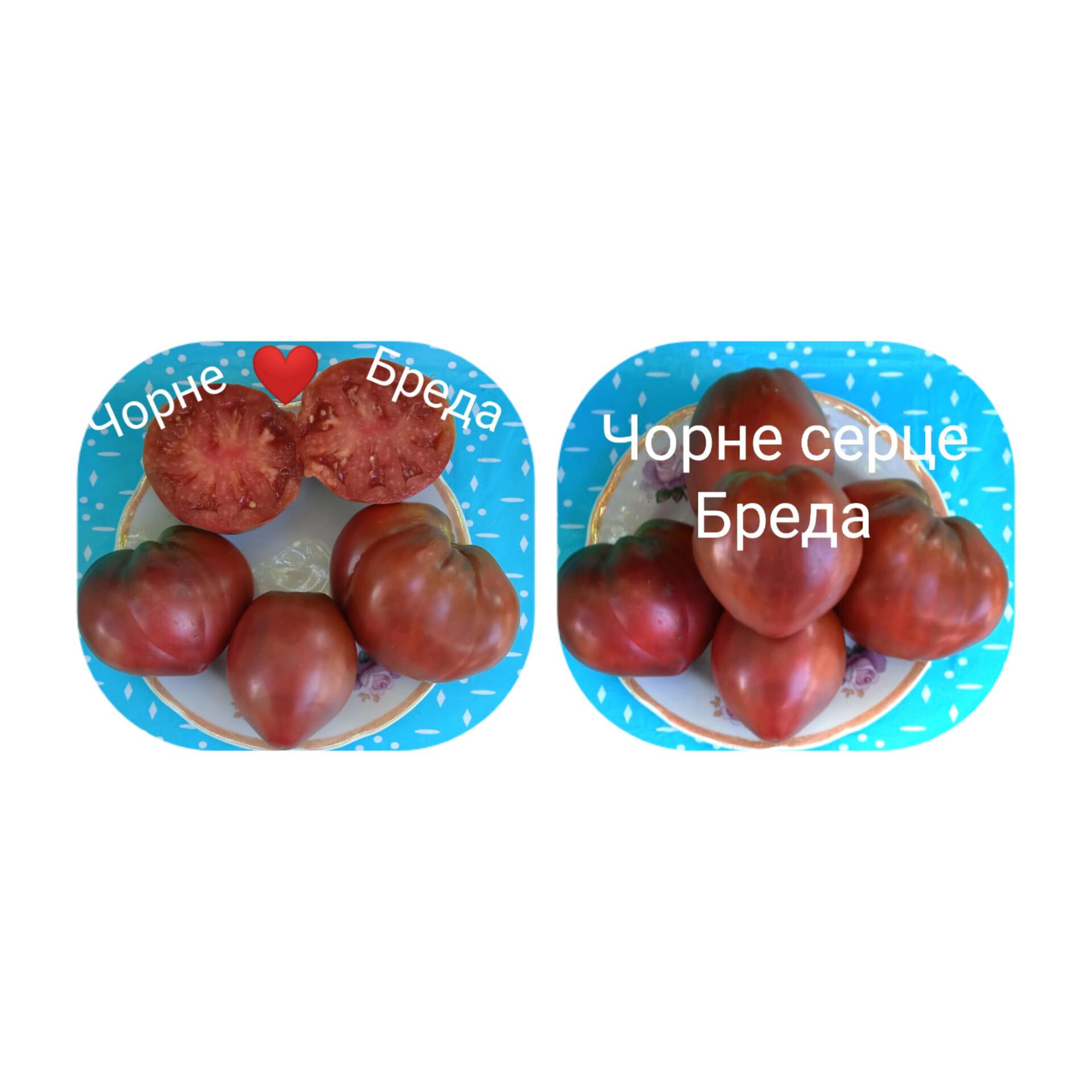 Чорне серце Бреда