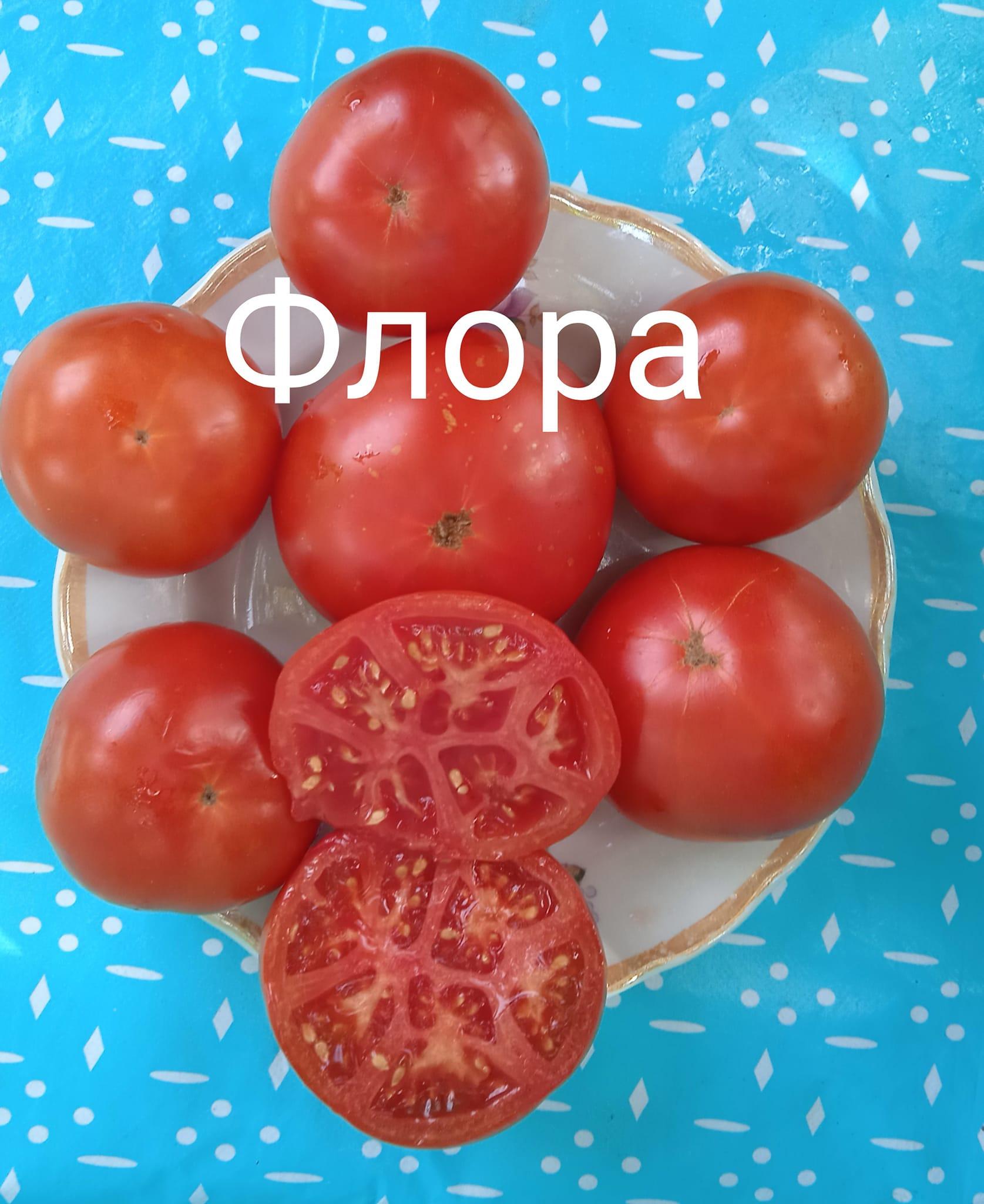 Флора