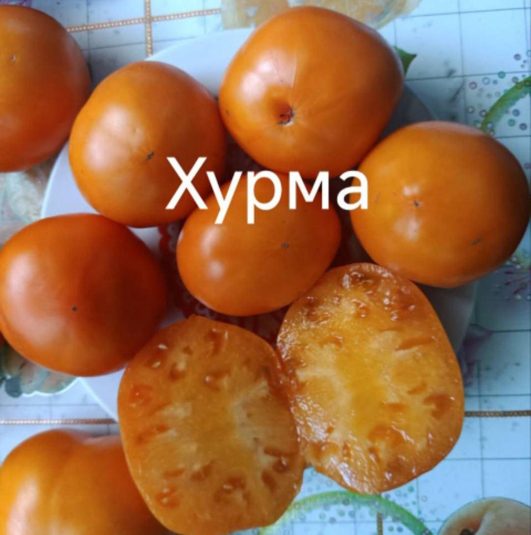 Хурма