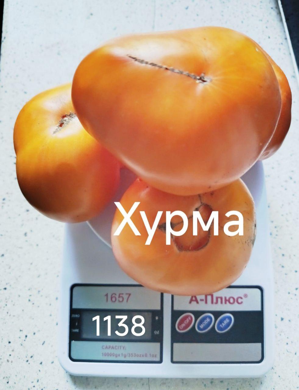 Мініатюра 3