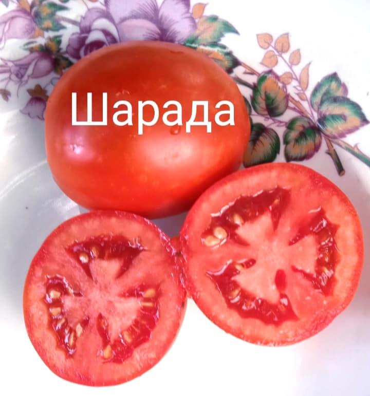 Мініатюра 2