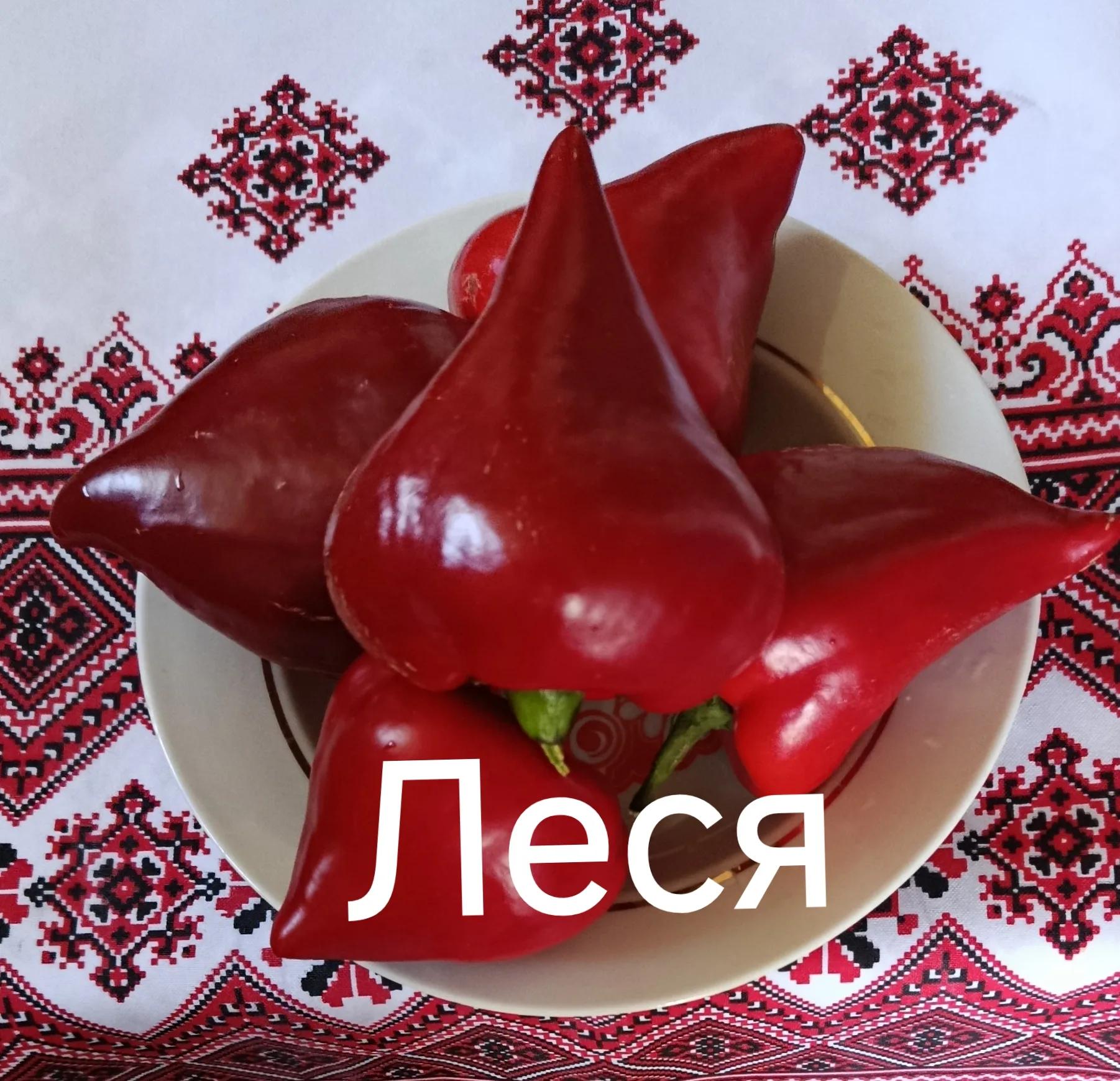Перець Леся
