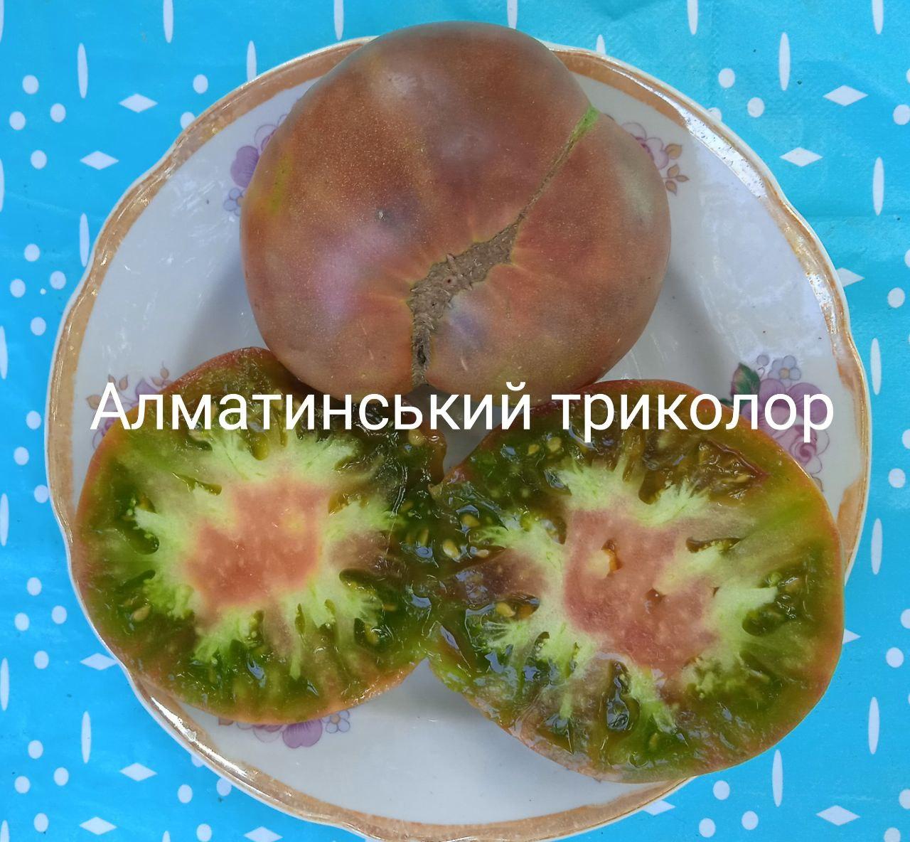 Алматинський триколор