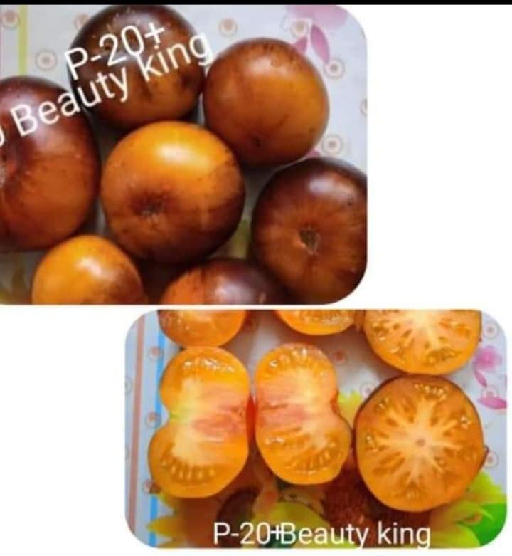 P-20, Beauty king (Пе-20, Б’юті кінг)