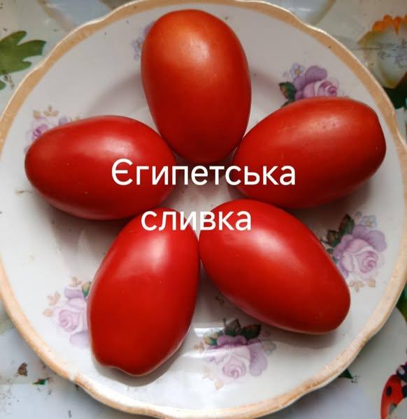 Єгипетська сливка